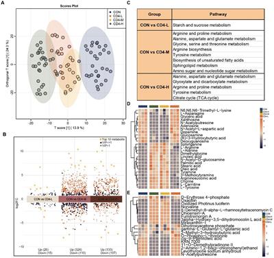 Exploring salivary metabolome alterations in people with HIV: towards early diagnostic markers